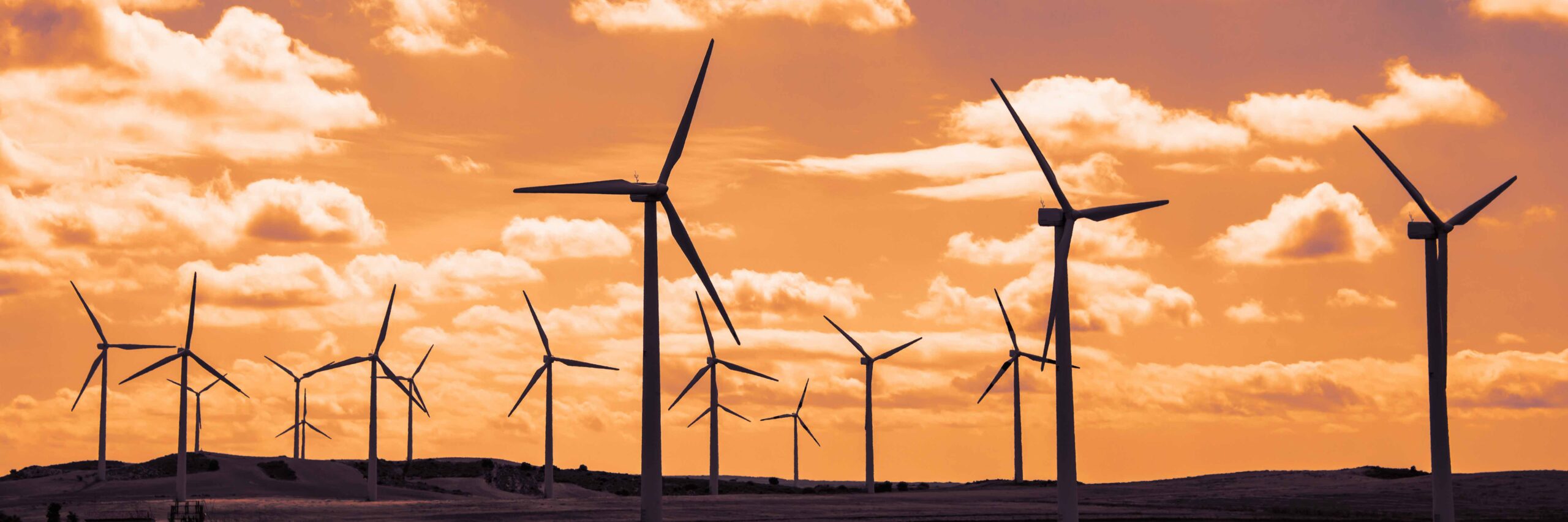 Wind,Turbine,Field